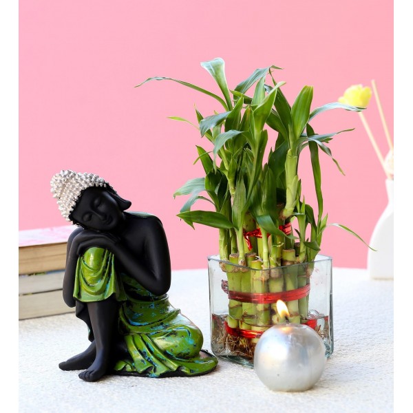 Buddha & Lucky Bamboo Plant Combo Buddha & Lucky Bamboo Plant Combo