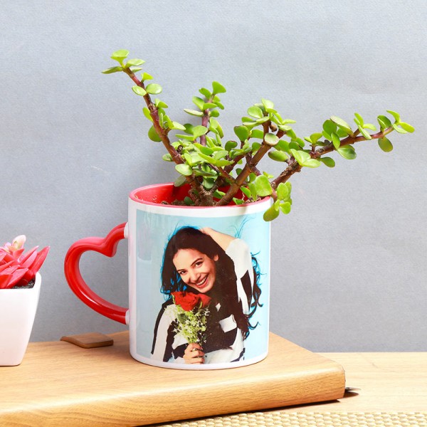 Personalised Mug With Jade Plant Personalised Mug With Jade Plant